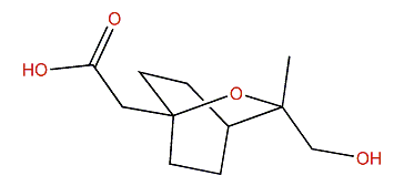 9-Hydroxy-7-cineolic acid